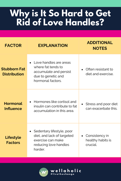 The table succinctly explains that the difficulty in getting rid of love handles is attributed to their stubborn fat distribution, influenced by genetics, hormones like cortisol and insulin, and lifestyle factors including diet, exercise, and sedentary habits.