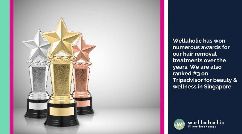 SHR Awards by Wellaholic