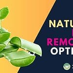 Discover natural hair removal options for Singaporeans without harsh chemicals. Say goodbye to irritation and hello to smooth skin with organic solutions.
