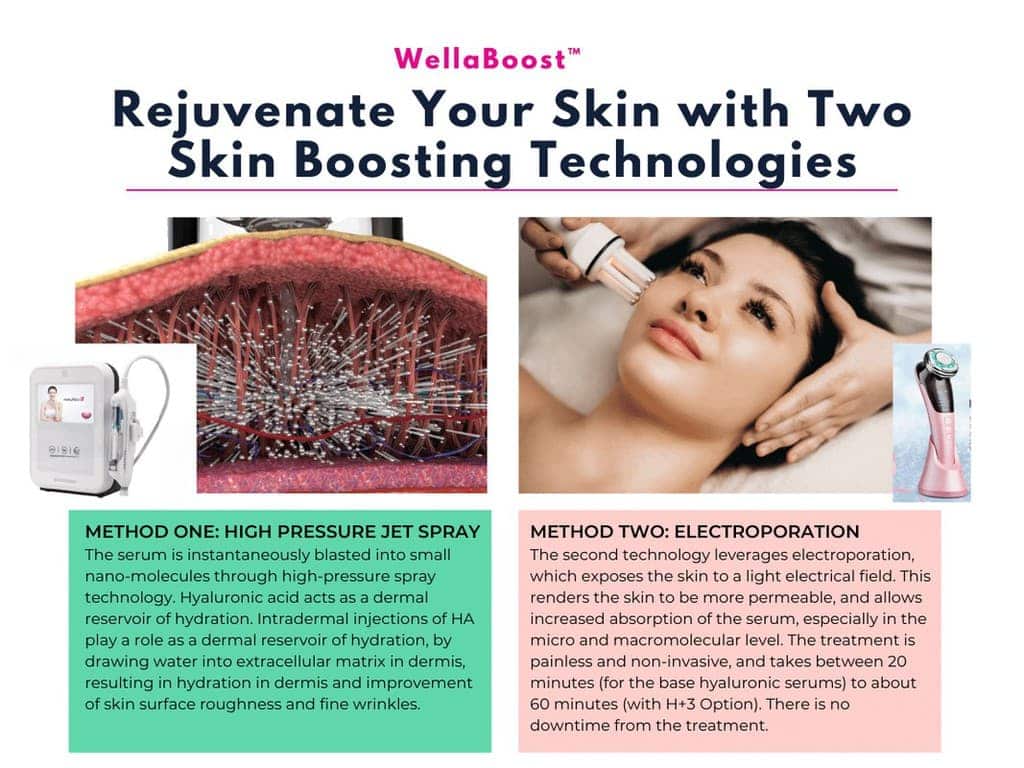 WellaBoost Skin Booster