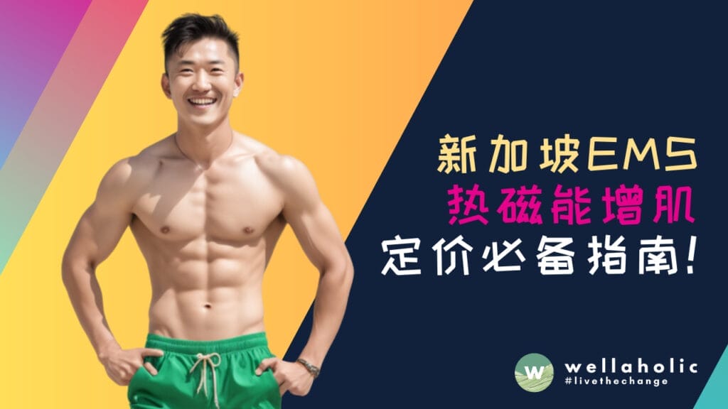 新加坡 EMS 热磁能定价的必备指南